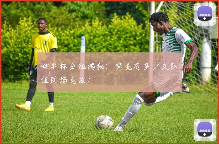 世界杯分组揭秘：究竟有多少支队伍同场竞技？