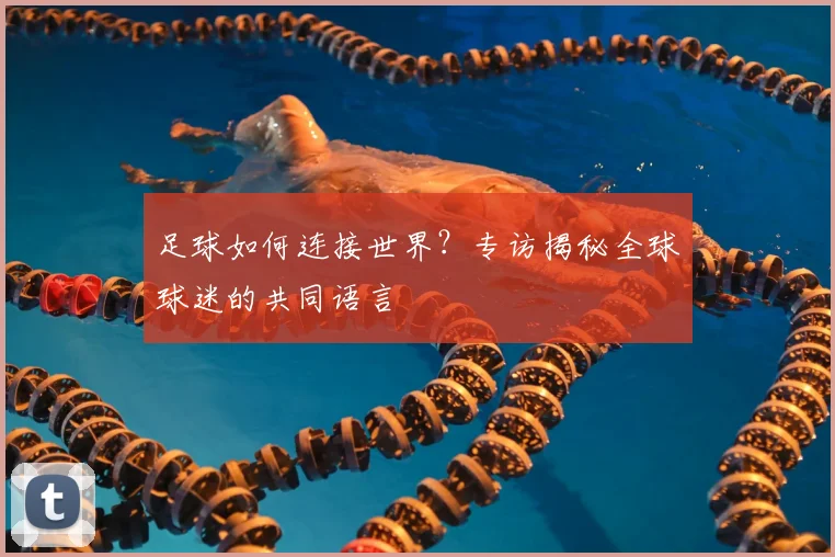 足球如何连接世界？专访揭秘全球球迷的共同语言